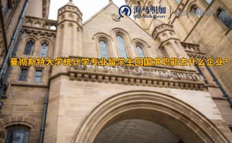 曼徹斯特大學(xué)統(tǒng)計(jì)學(xué)專業(yè)留學(xué)生回國(guó)求職能去什么企業(yè)?