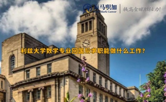 利茲大學(xué)數(shù)學(xué)專業(yè)回國(guó)后求職能做什么工作?